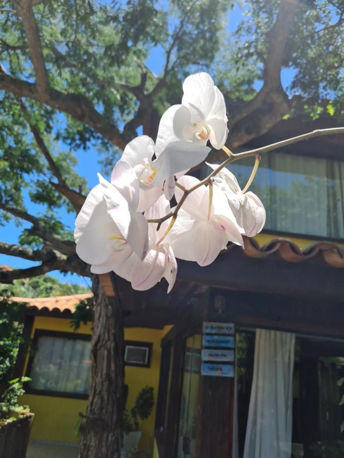 Casa Ferradura Com Hidro,Piscina E 500 Metros Da Praia Armacao dos Buzios Ngoại thất bức ảnh